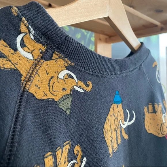 Hanna Andersson Colorful Winter Woolly Mammoth Crewneck Sweatshirt - Picture 9 of 12